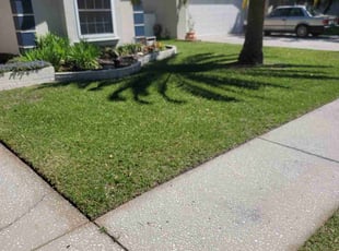 Deborah K.'s lawn care service result