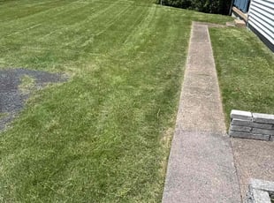 James S.'s Long Grass Cleanup service result