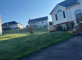 Shelby S.'s grass maintenance service result