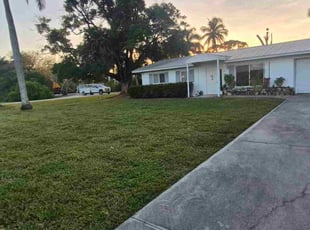 Idris F.'s turf care service result