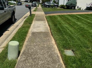 Olga B.'s grass maintenance service result