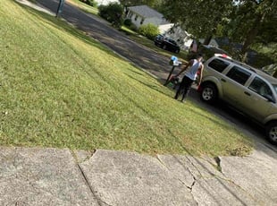 Carina G.'s lawn maintenance service result