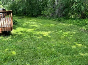 Jay W.'s lawn care services service result