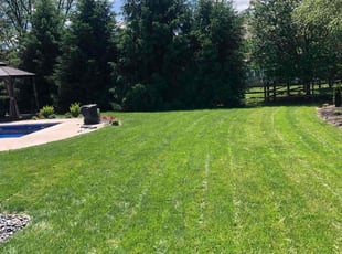 Rebecca P.'s grass maintenance service result