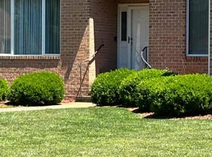 Danny M.'s yard work service result