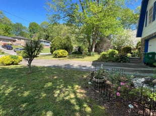 Donna G.'s grass maintenance service result