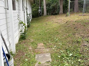 Zhetta T.'s lawn care service result