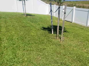 Mark J.'s grass maintenance service result
