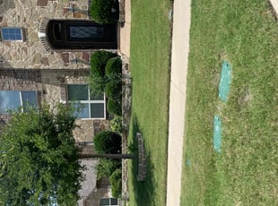 Corey H.'s lawn care service result