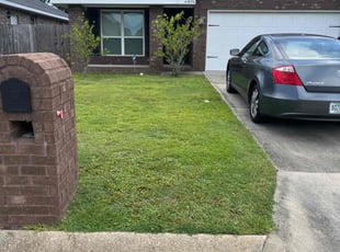 Bree T.'s turf care service result