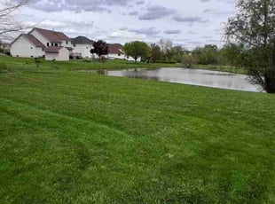 Missy B.'s lawn care service result