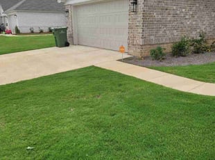 TY L.'s lawn maintenance service result
