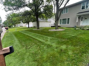 Bridnee S.'s grass cutting service result