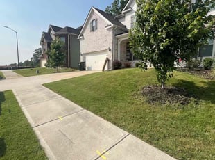 Teri P.'s grass maintenance service result