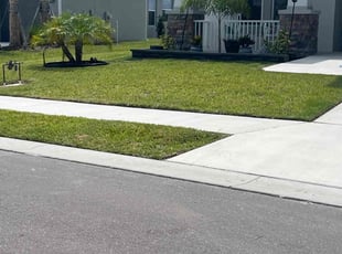 Bhavin P.'s turf maintenance service result