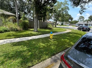 Kerry M.'s turf maintenance service result