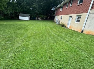 Linda S.'s lawn service service result