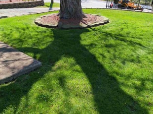 Betty M.'s turf maintenance service result