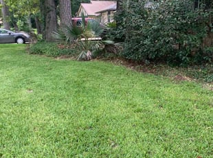 Angela W.'s Tree Care service result