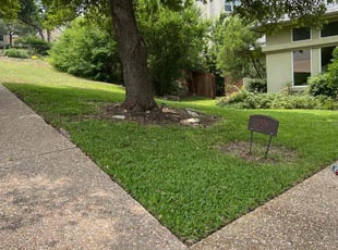 Stephanie D.'s grass cutting service result