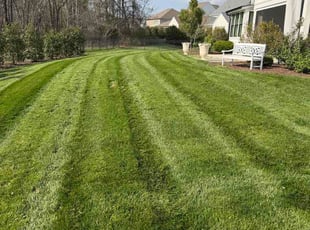 Russell B.'s grass maintenance service result