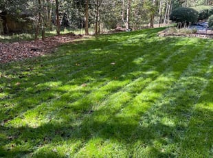 Kate H.'s grass cutting service result