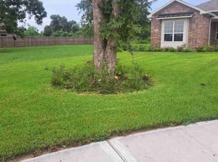 Drew H.'s turf maintenance service result