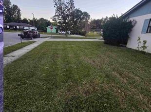 Stephanie C.'s lawn maintenance service result