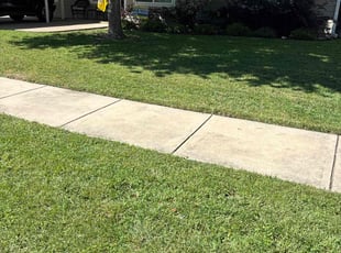 Ida S.'s lawn care services service result