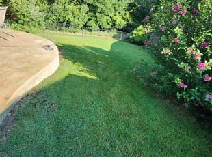 Brandon T.'s lawn maintenance service result