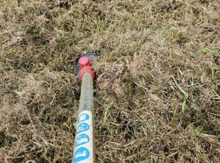 Charles H.'s grass cutting service result