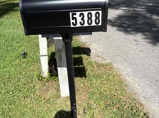 David Y.'s turf care service result