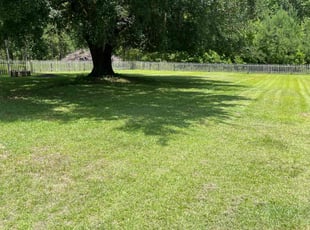 Shawn H.'s turf maintenance service result