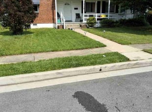 James B.'s lawn care service result