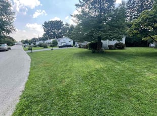 James H.'s grass cutting service result