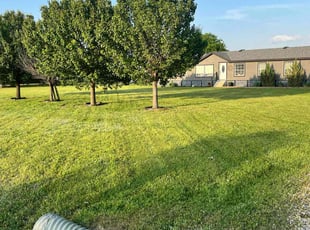 Mary K.'s turf care service result