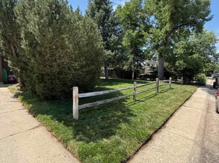 Katarina P.'s lawn care service result