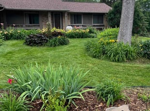 Taletha S.'s grass maintenance service result