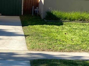 Mary M.'s turf maintenance service result