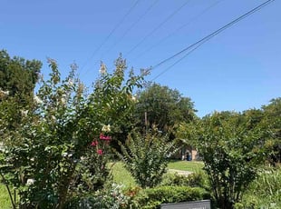 David M.'s Bush Trimming service result