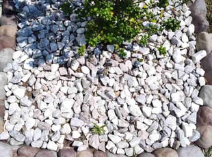 Nikkesha T.'s lawn care services service result