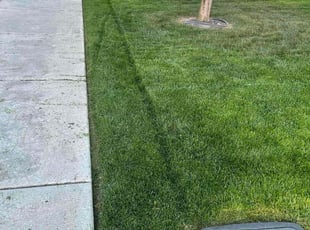 Xyra A.'s turf maintenance service result