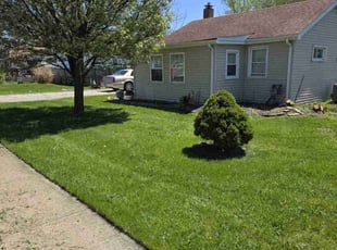 Jamie M.'s lawn maintenance service result