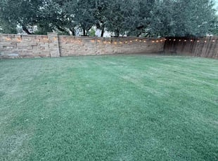 Cora S.'s grass cutting service result