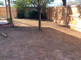 Savannah S.'s Leaf Removal service result