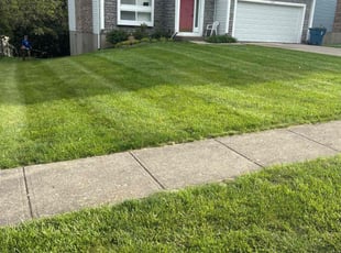 Joseph M.'s turf care service result