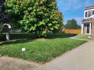 Kim V.'s lawn service service result