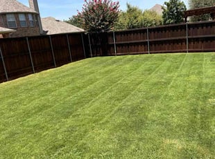 Amy A.'s turf maintenance service result