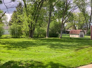 Kimberley D.'s lawn care services service result