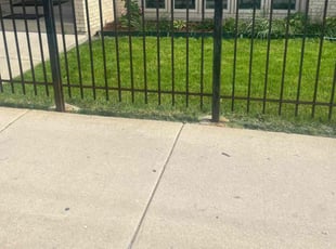 Jack B.'s turf maintenance service result